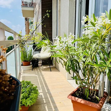 Geo S Joy * Турин